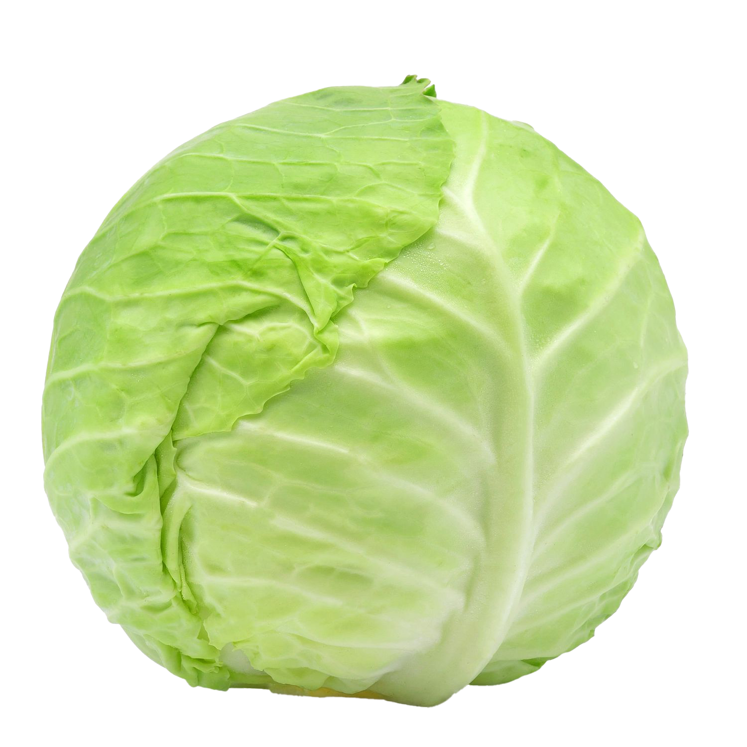 Cabbage Transparent File