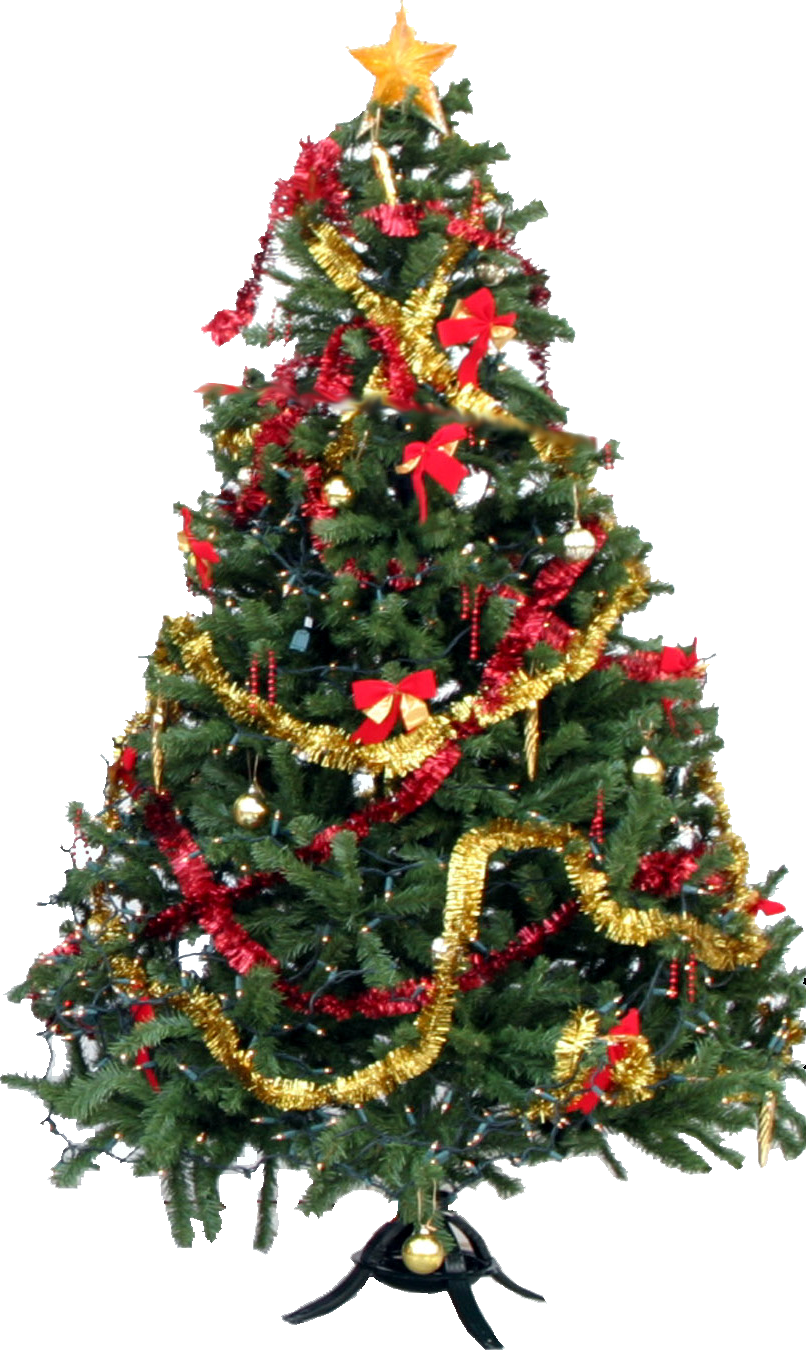 Christmas Fir-Tree Transparent File