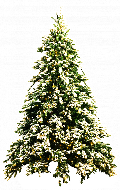 Christmas Fir-Tree Transparent PNG