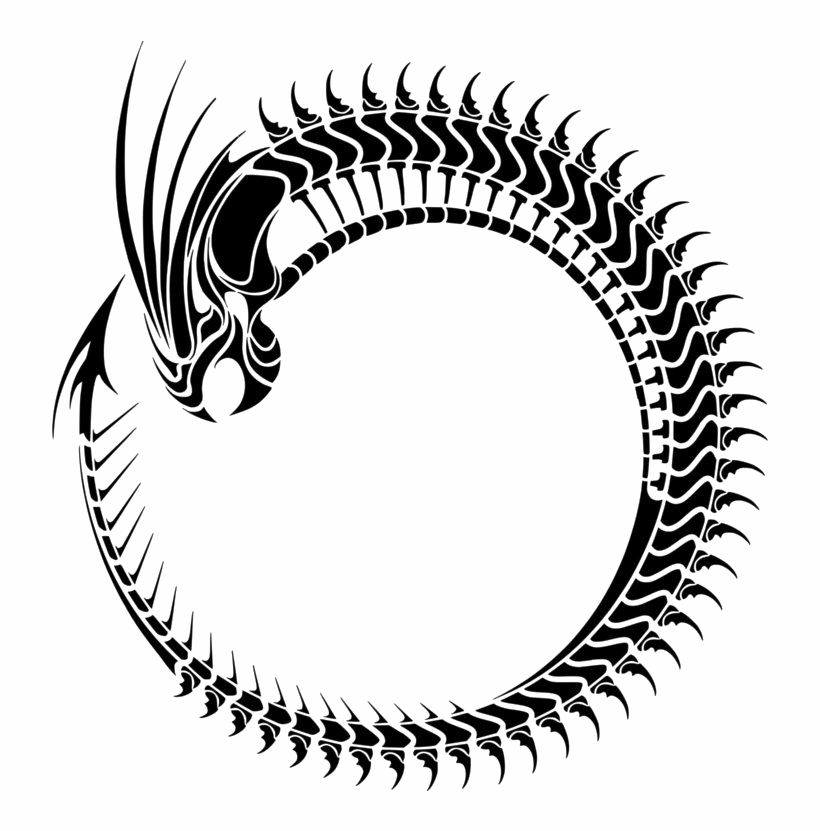 Circle Fondo transparente dragón
