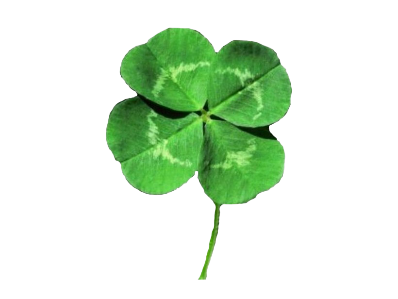 Clover PNG Clipart Background