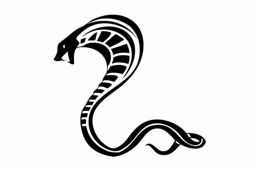 Cobra Imagen PNG de fondo