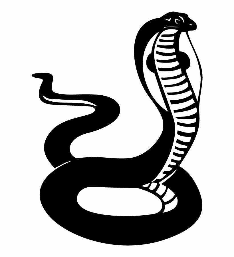 Archivo transparente cobra