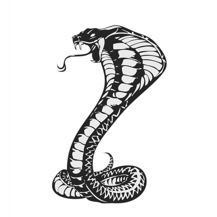 Imagen transparente cobras