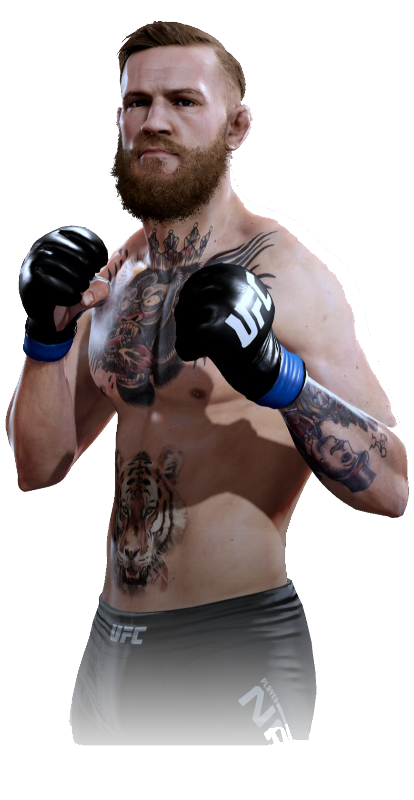 Conor McGregor PNG Clipart Background