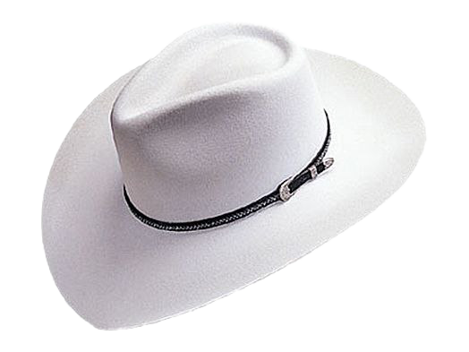 Cowboy Hat png pic fundo