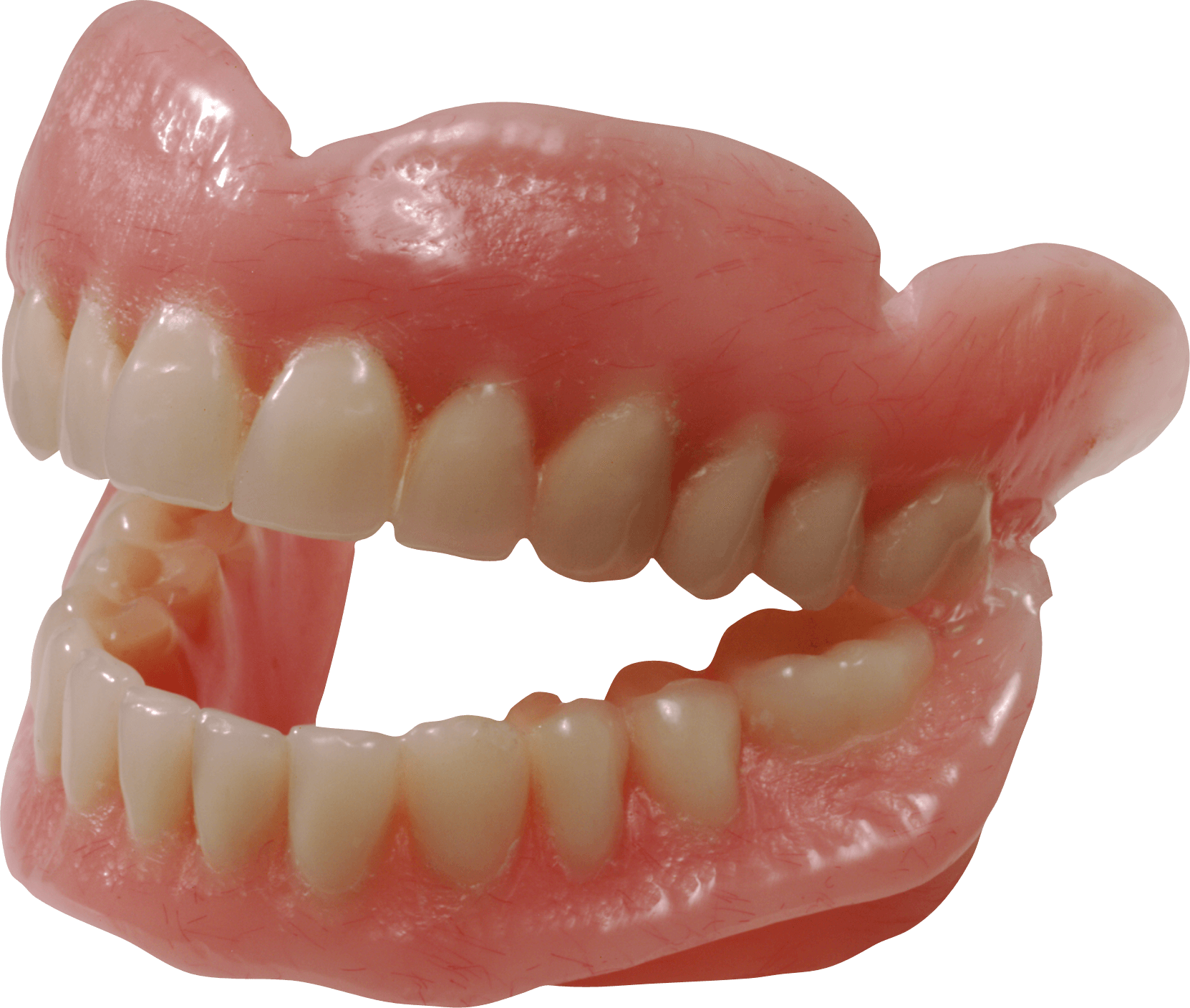 Dentures PNG HD Quality