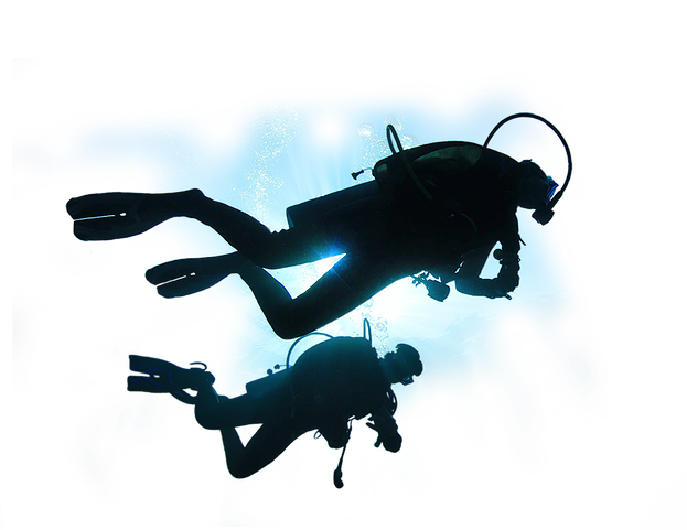 Diver Download Free PNG