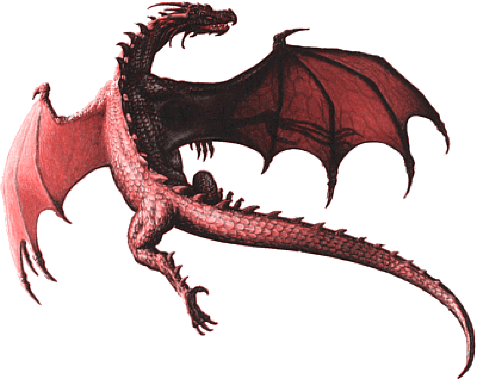 Dragon Imagen PNG de fondo