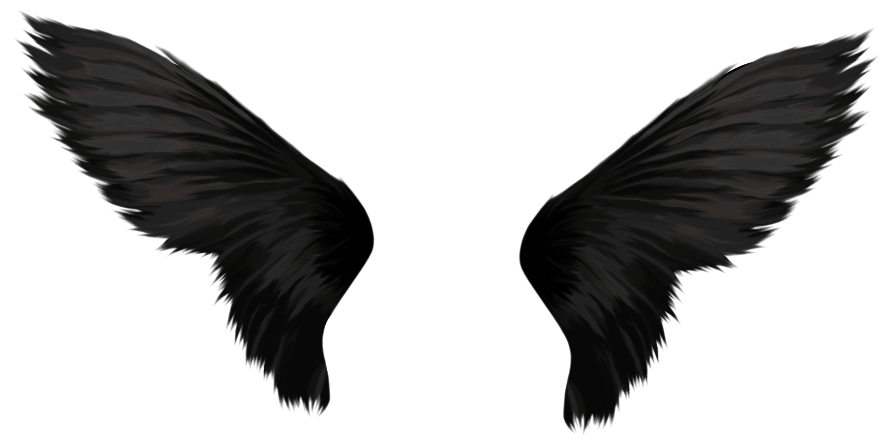 Dragon Wings PNG Pic Background
