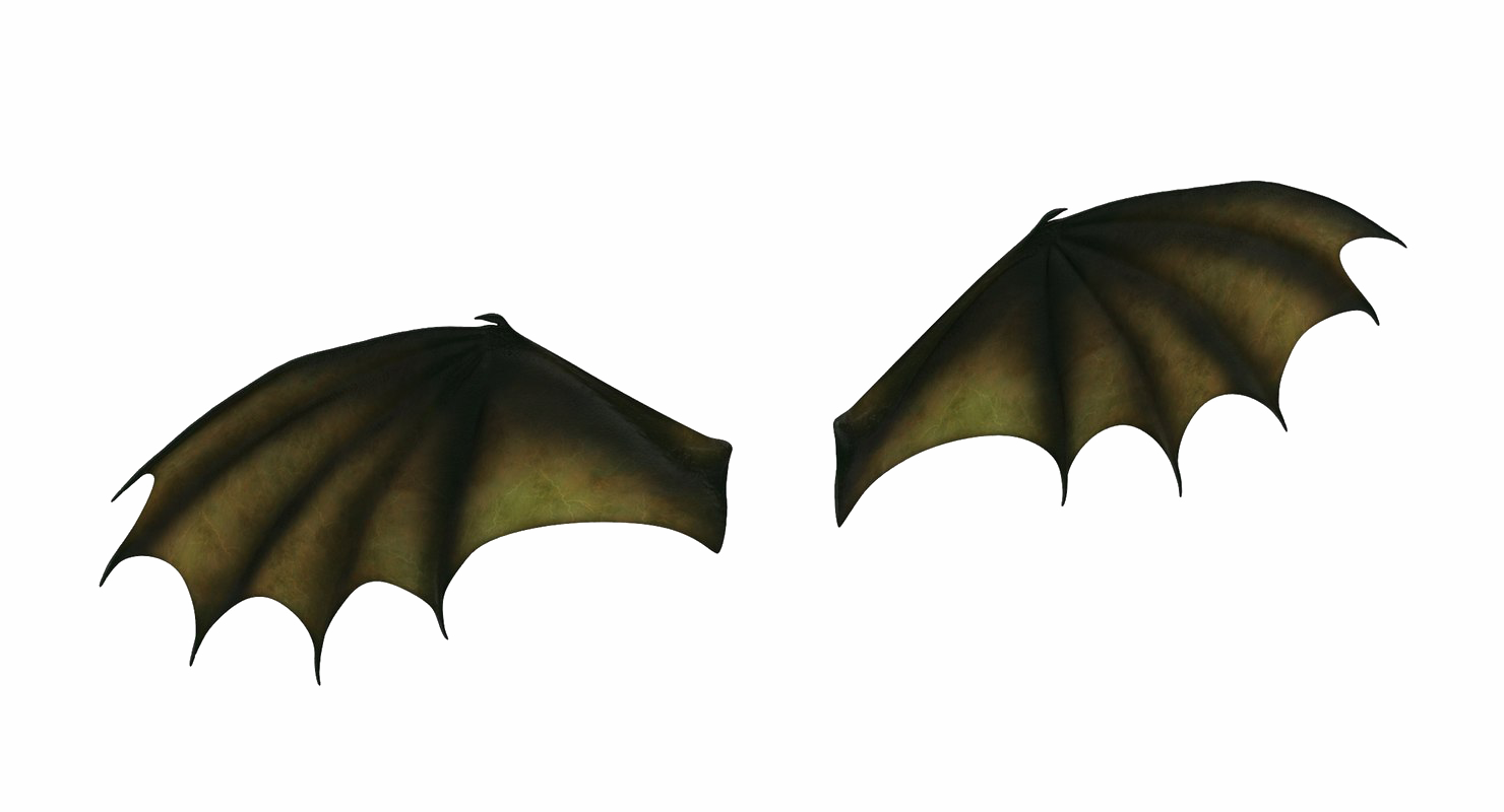 File trasparente Dragon Wings