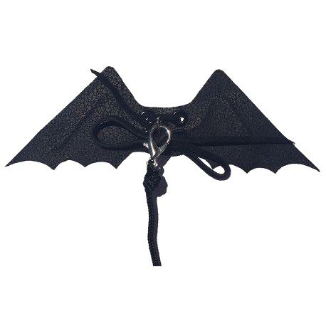 Immagine trasparente delle ali del drago