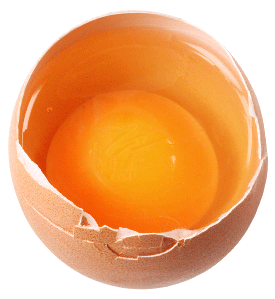 Egg Download Free PNG