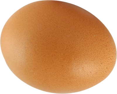 Egg PNG Clipart Background