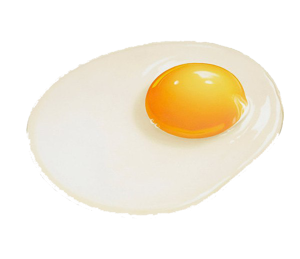 Egg PNG HD Quality