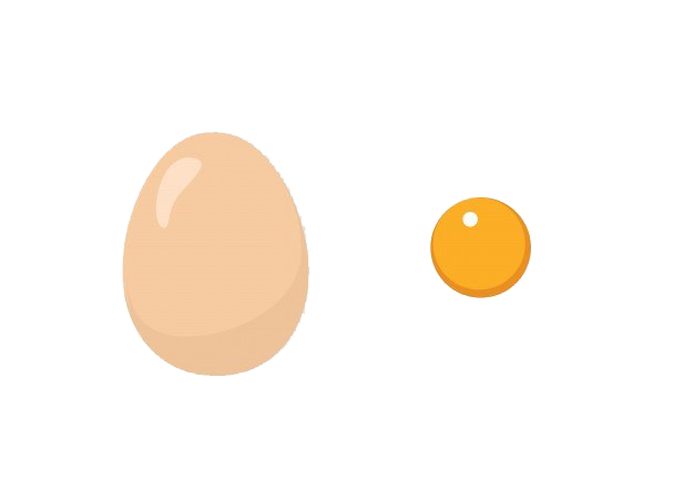 Egg PNG Images HD