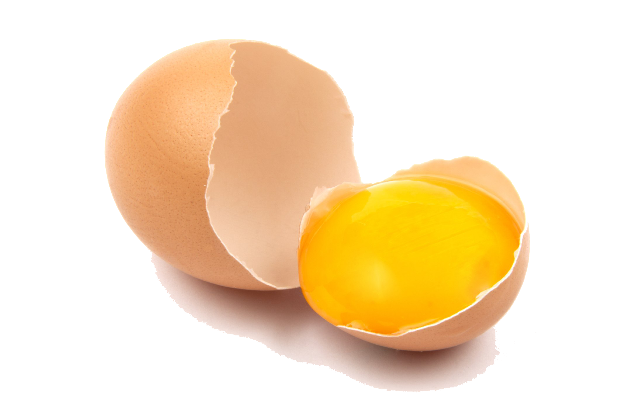 Яйцо Менделеевской птицефабрики. Яичный желток. Желток куриного яйца. Разбитое яйцо.