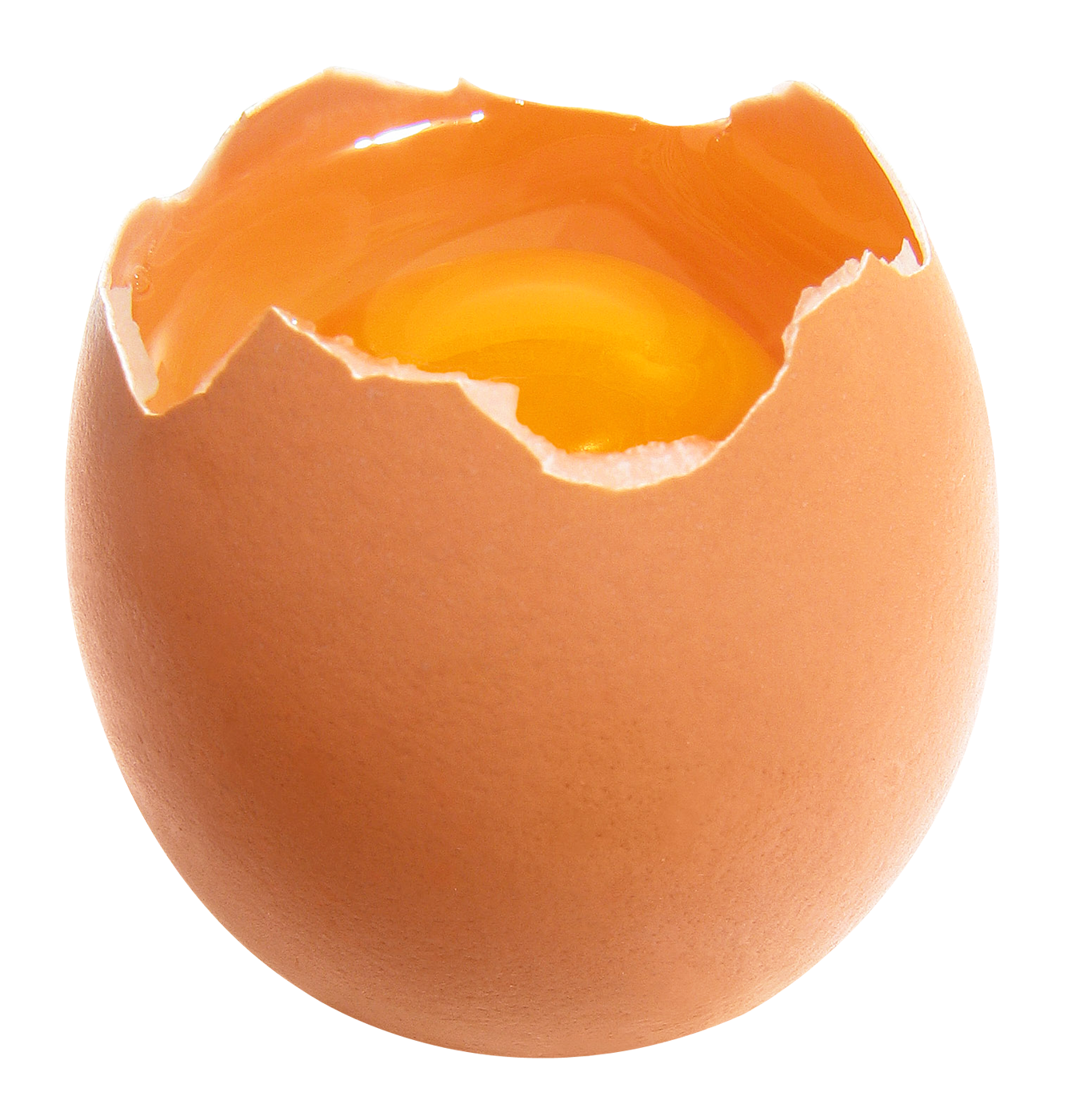 Egg Transparent Image