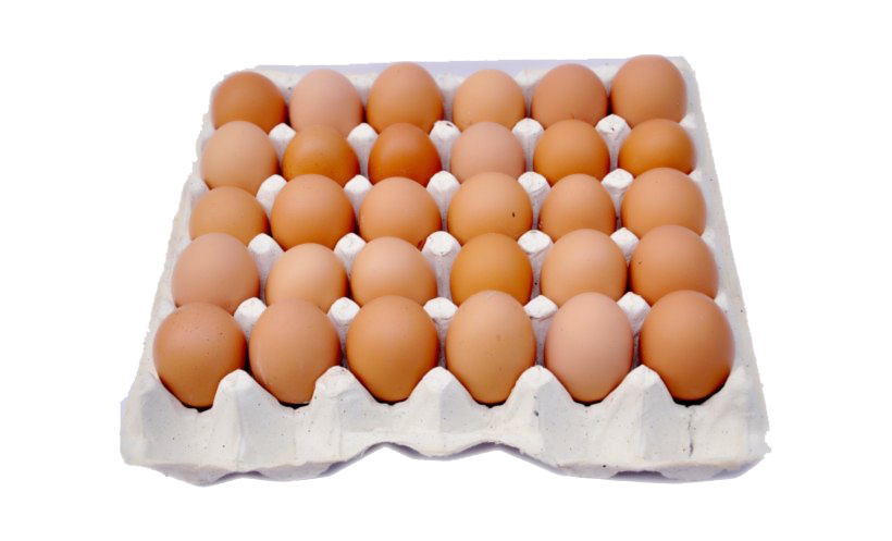 Eggs Background PNG Image