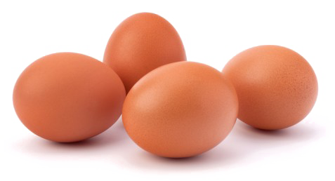 Eggs Download Free PNG