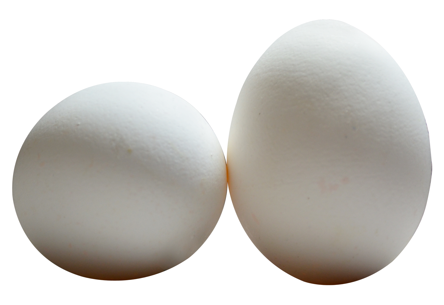 Eggs Free PNG