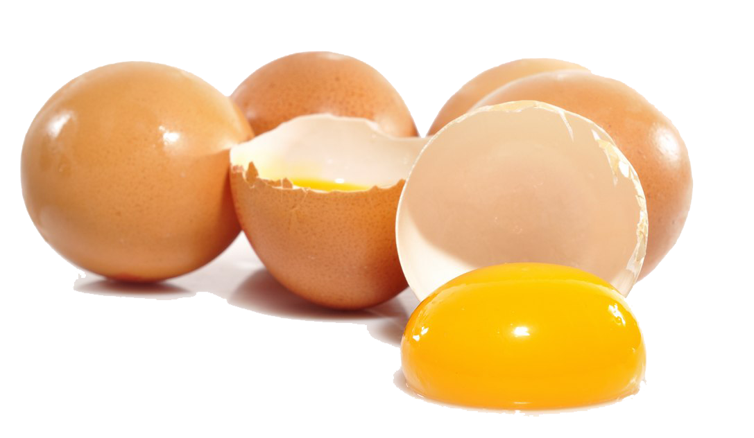 Eggs PNG Free File Download