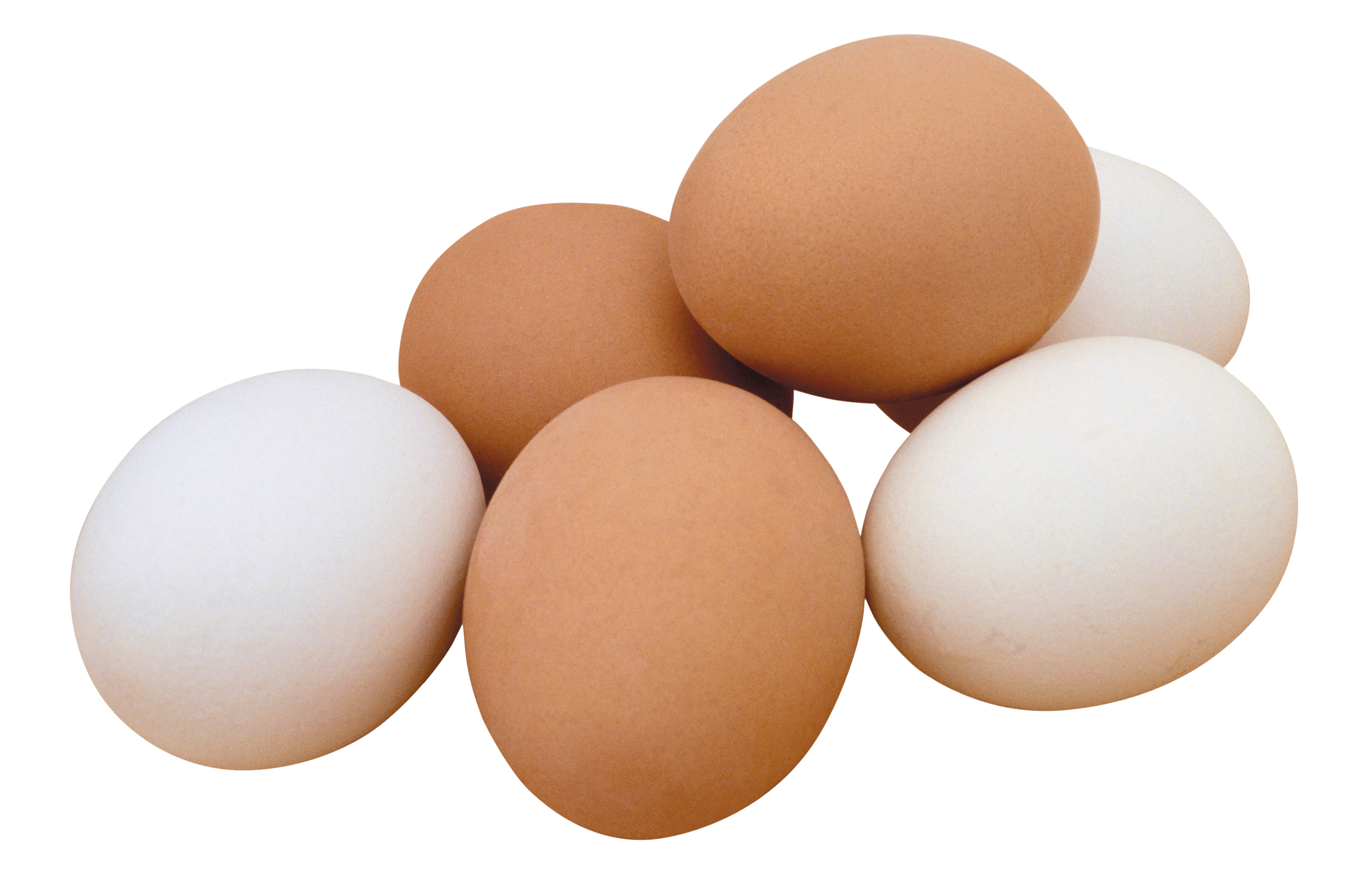 Eggs Transparent PNG