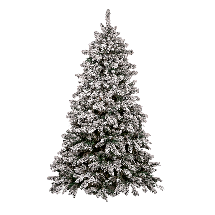 Fir-Tree PNG Images HD