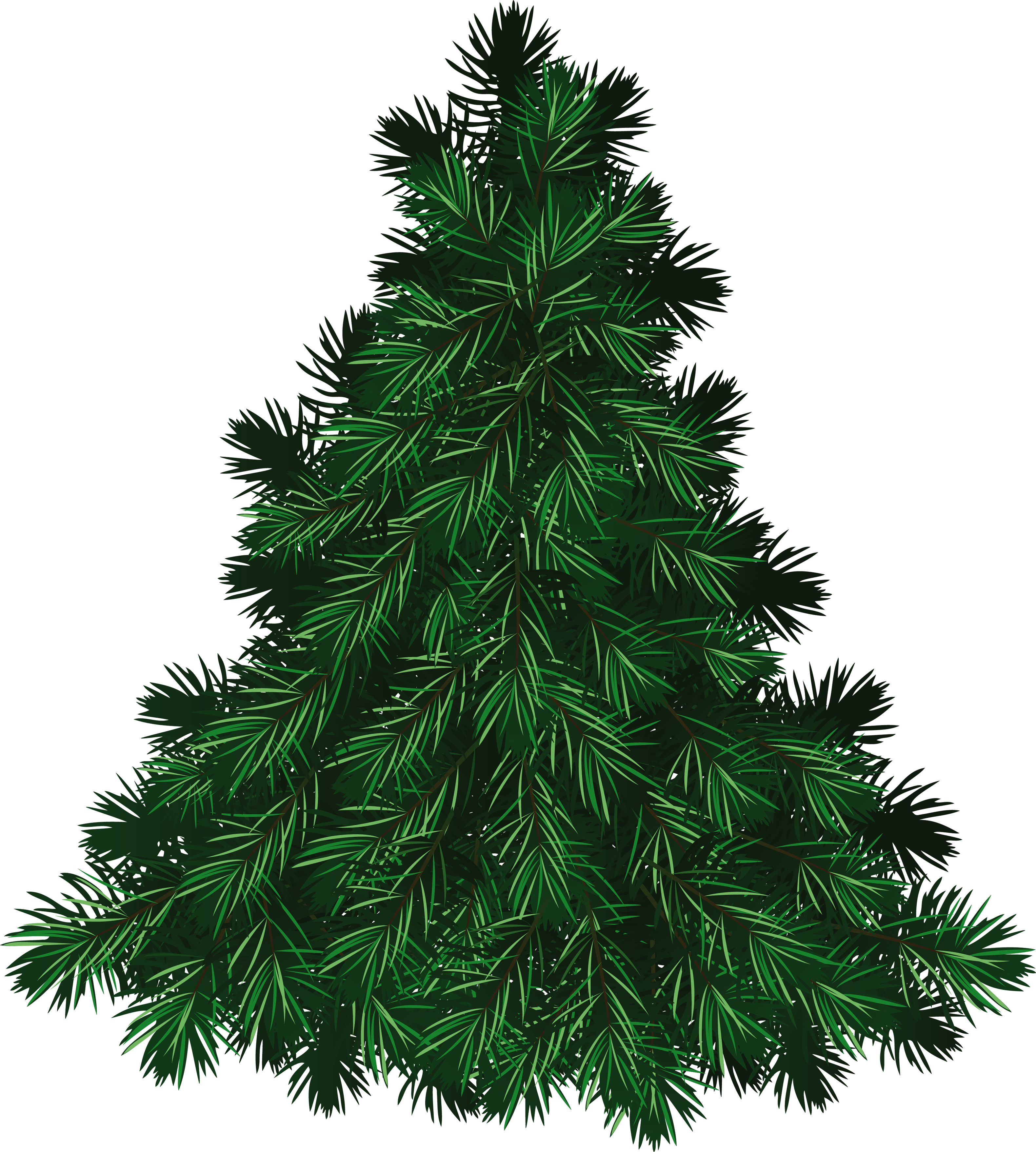 Fir-Tree PNG Pic Background