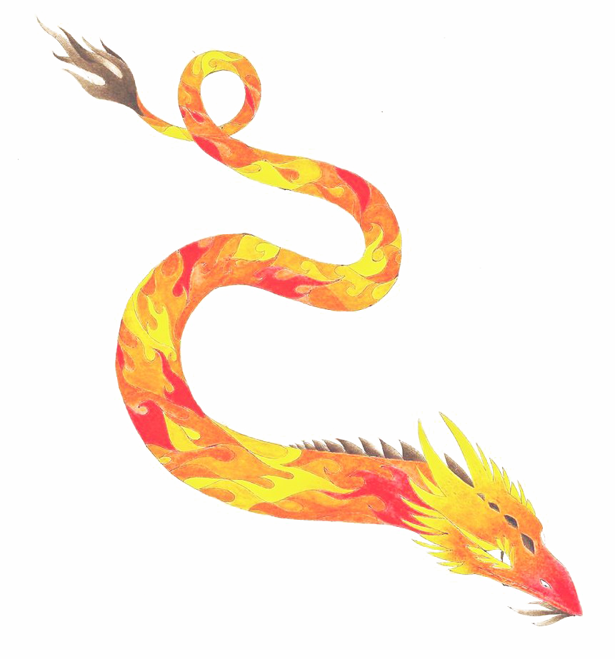 Fire Dragon Transparan Gambars