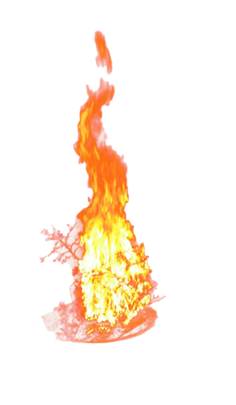 Fire Transparent Free PNG