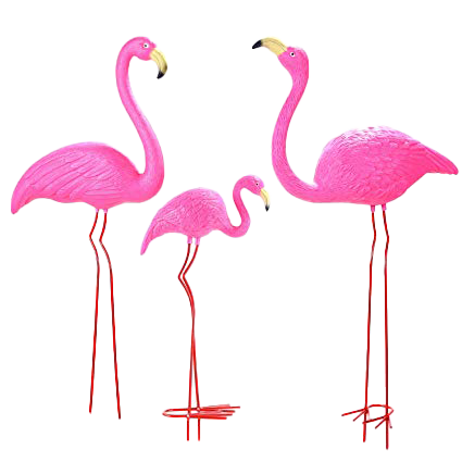 Flamingo Download Free PNG