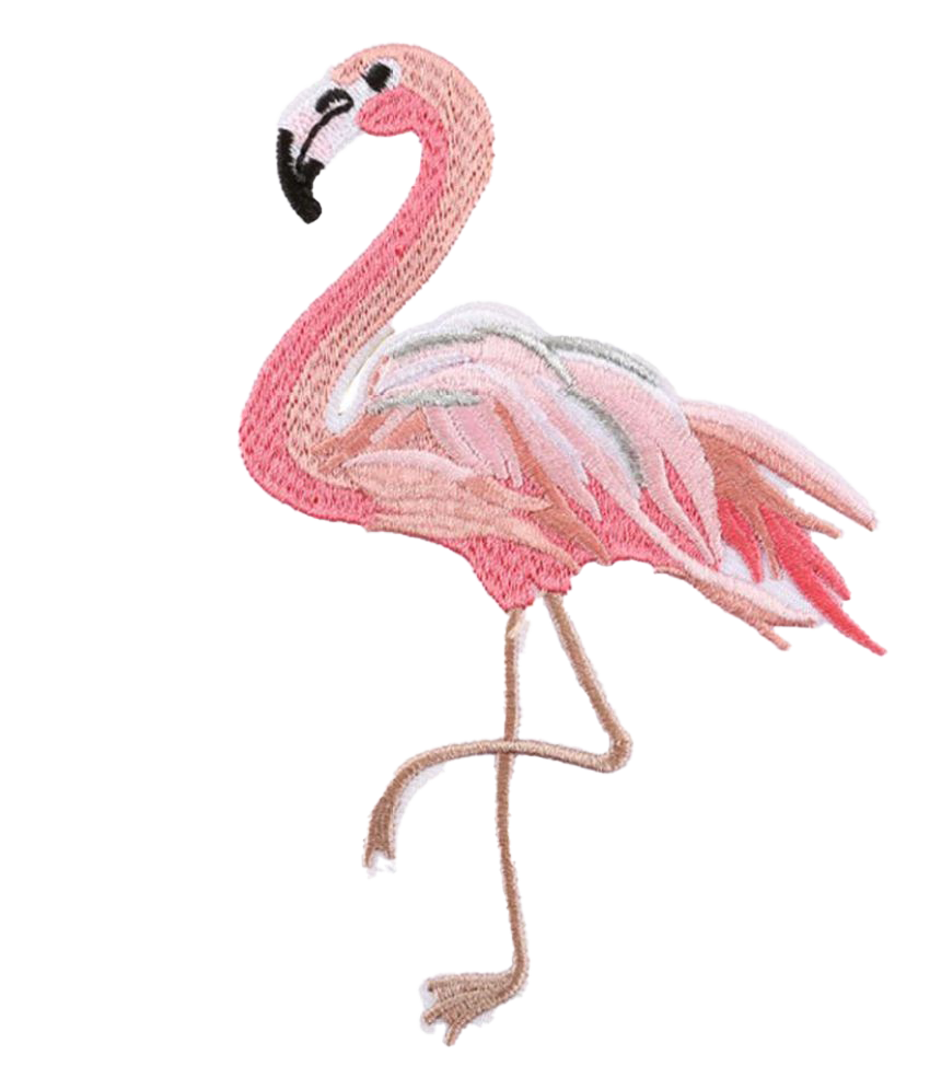 Flamingo PNG Images HD