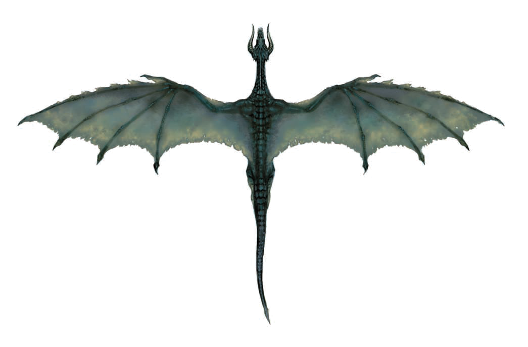 Immagine trasparente drago volante