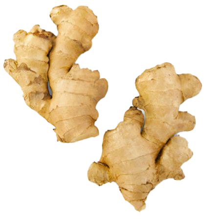Ginger PNG Clipart Background