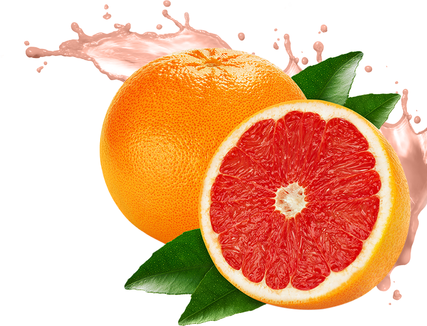 Grapefruit Transparent Images