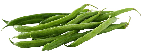 Green Bean PNG Clipart Background