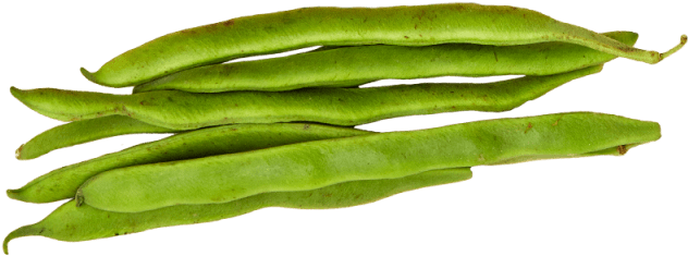 Green Bean Transparent Images