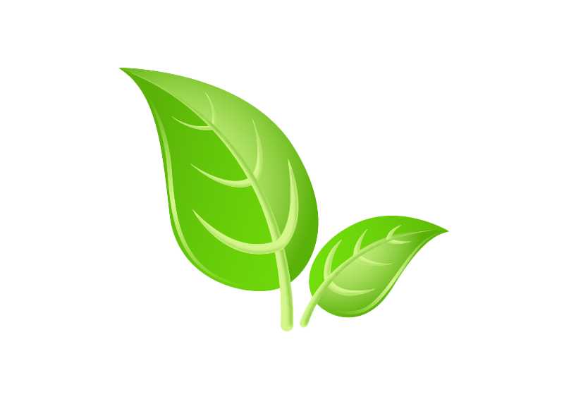 Green Leaves PNG Images HD