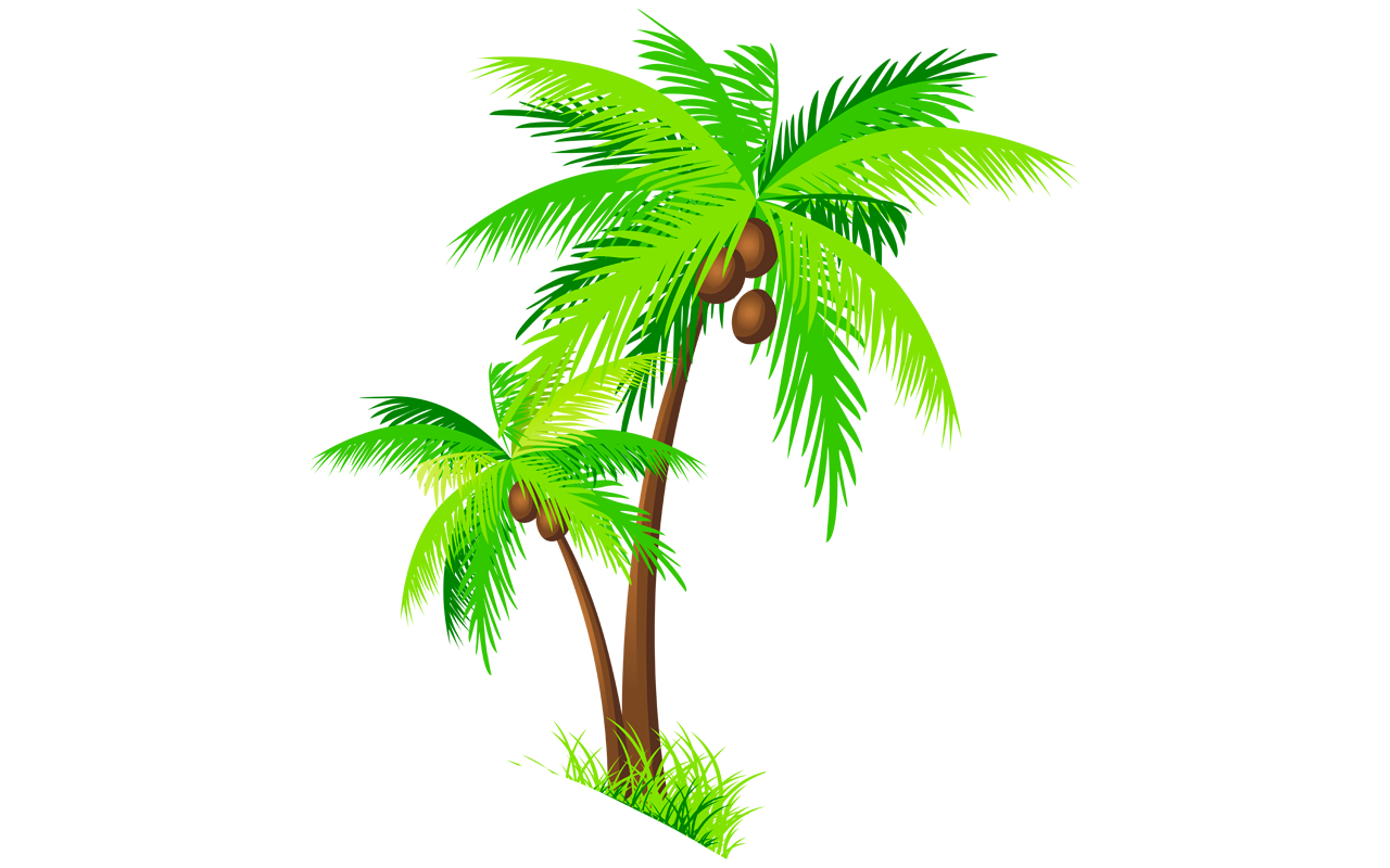 Green Palm Tree Download Free PNG