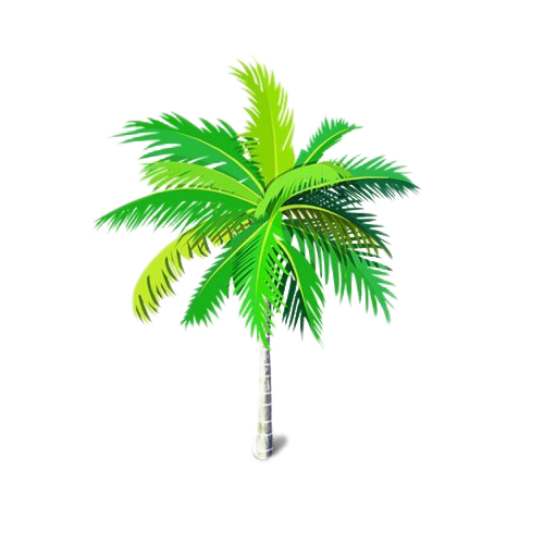 Green Palm Дерево PNG фон