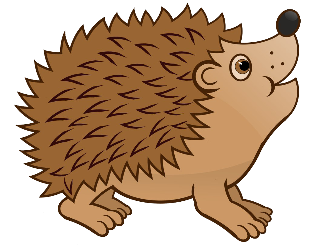 Imagen transparente hedgehog