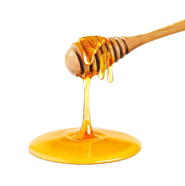 Honey PNG Clipart Background