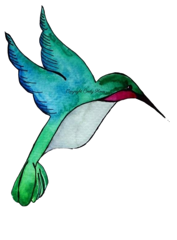 Hummingbird Background PNG