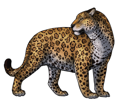Jaguar PNG Free File Download