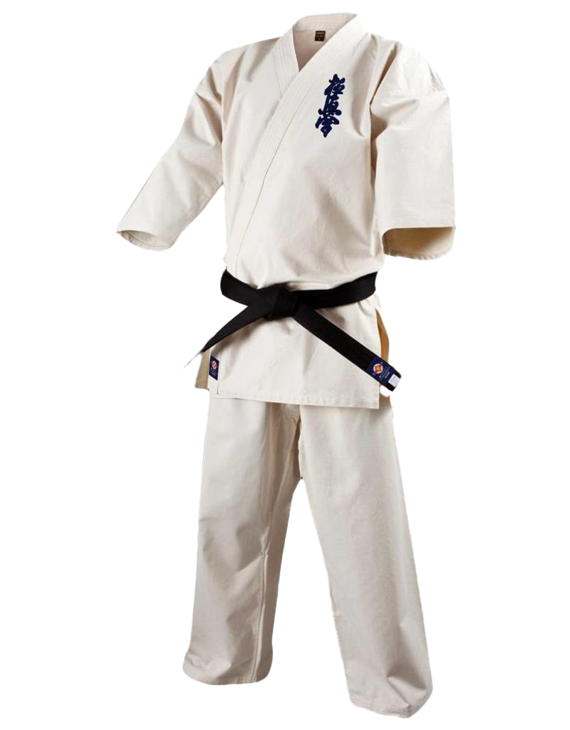 Karate PNG Clipart Background