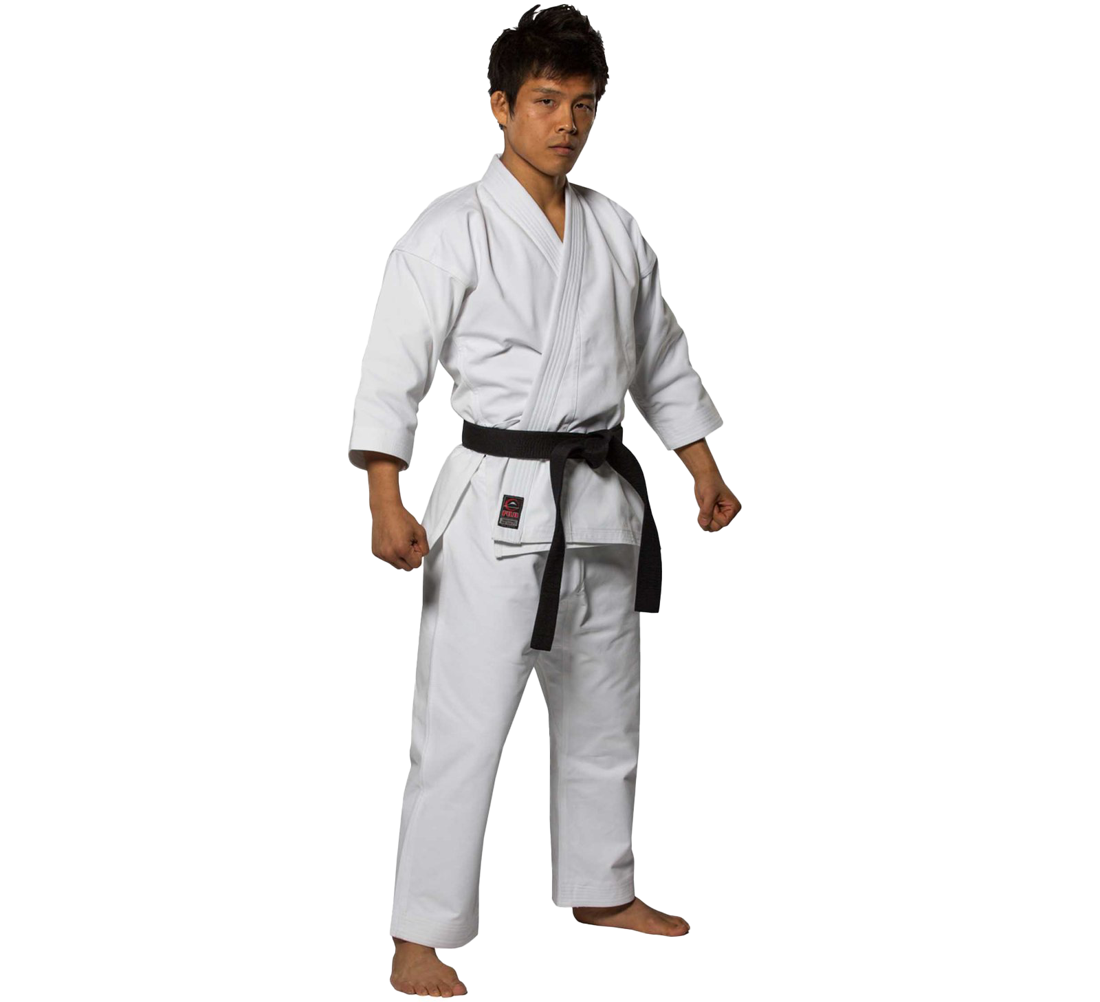 Karate Transparent Background