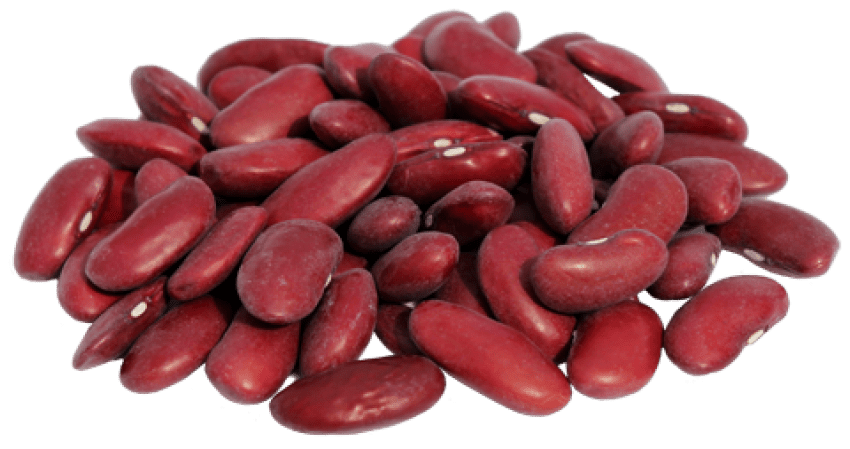Kidney Beans Free PNG