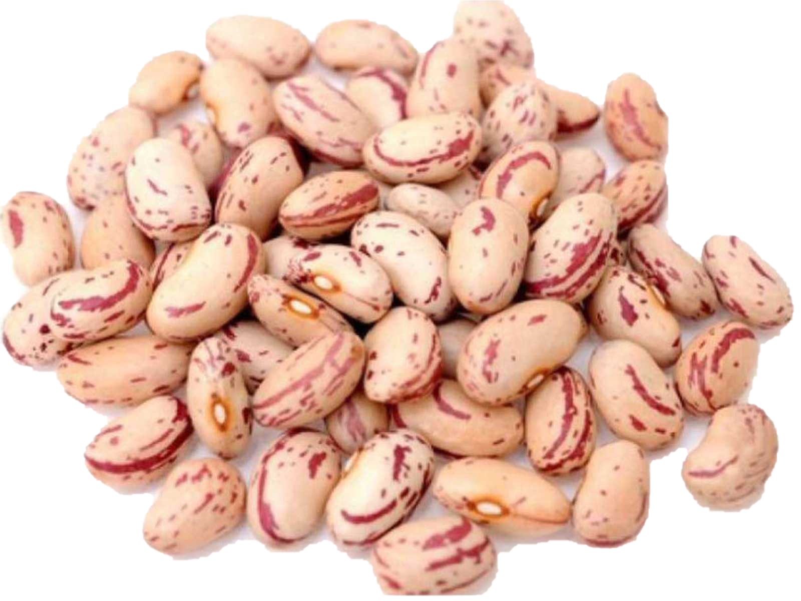 Kidney Beans PNG Background