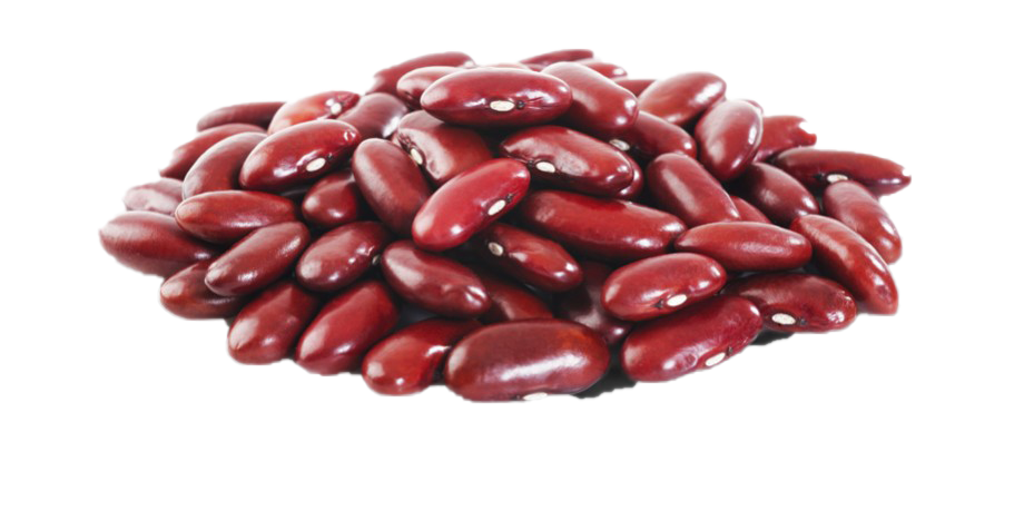 Kidney Beans PNG Clipart Background